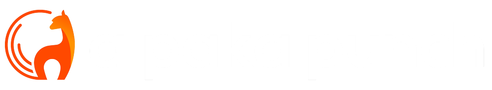 Free Time Tracking Software | Alpaka Punch